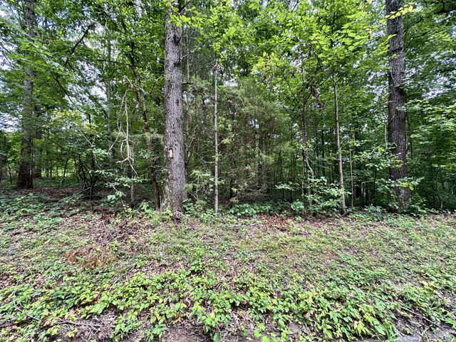 0 Les Hughes Rd, Fairview, TN 37062