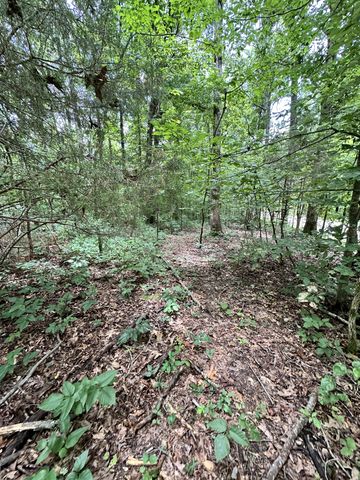 0 Les Hughes Rd, Fairview, TN 37062