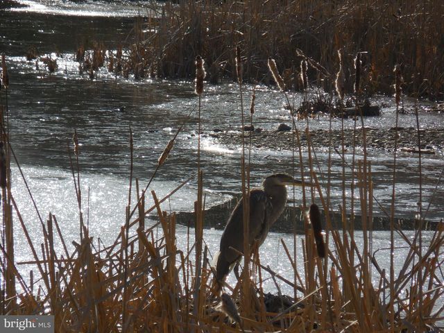 313 BEAVER TRL, Winchester, VA 22602