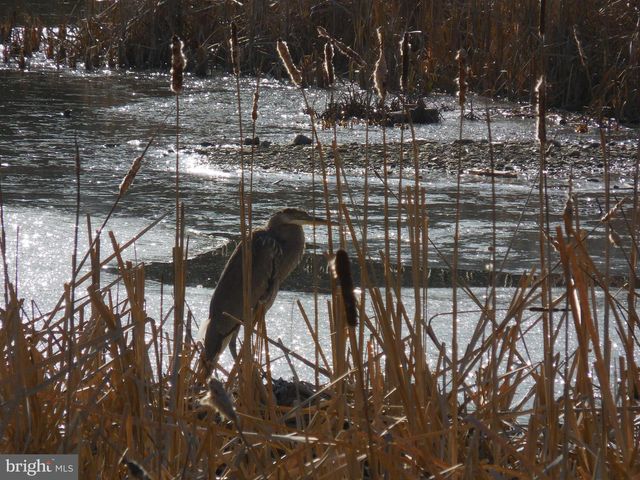 313 BEAVER TRL, Winchester, VA 22602