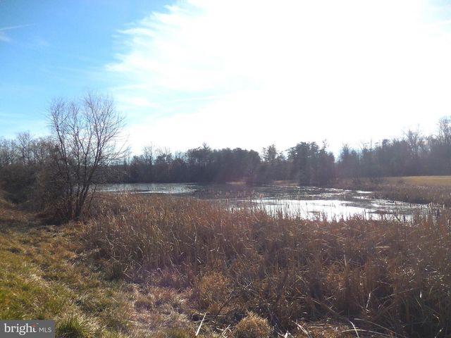 313 BEAVER TRL, Winchester, VA 22602