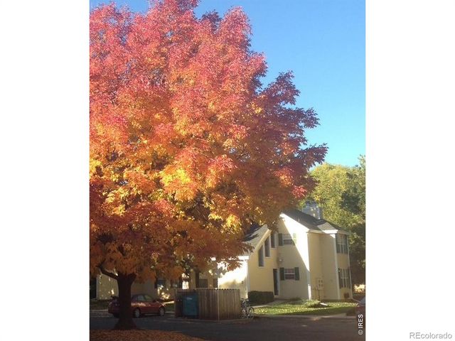 1300 W Stuart Street 8, Fort Collins, CO 80526