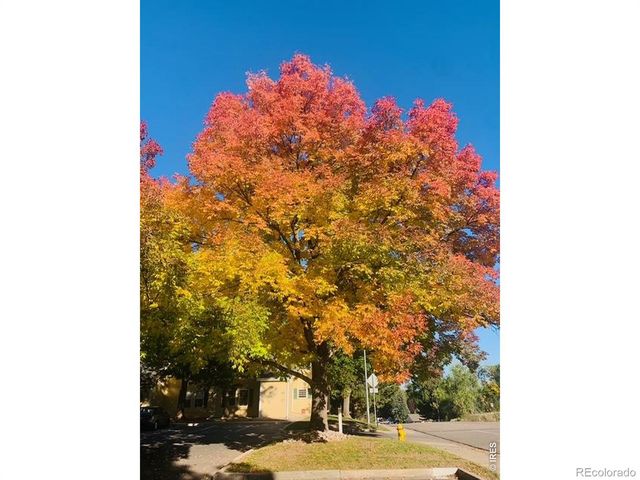 1300 W Stuart Street 8, Fort Collins, CO 80526