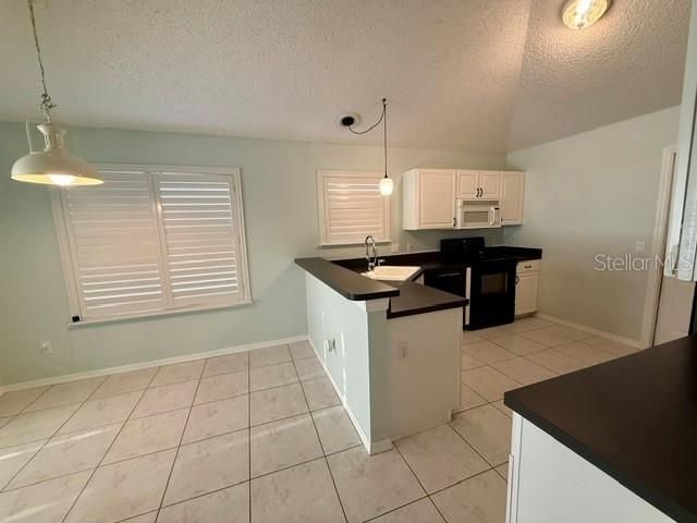 724 VISTA PLACE, Lady Lake, FL 32159