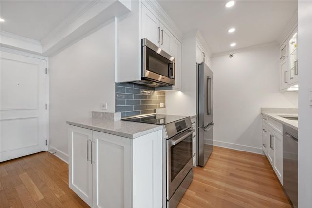 1250 N Dearborn Parkway 24E, Chicago, IL 60610