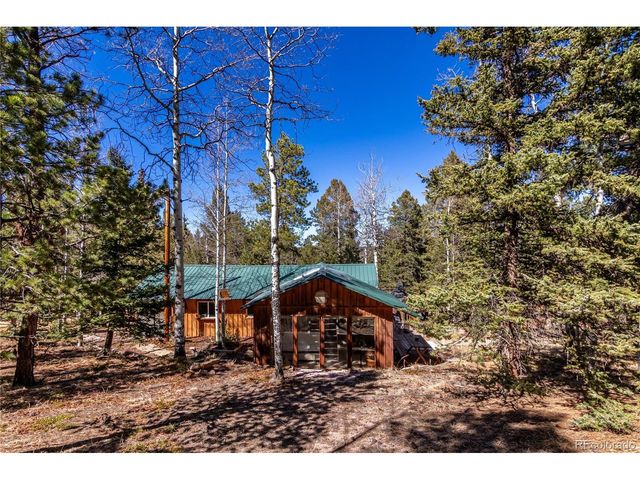 44 Anderson Rd, Florissant, CO 80816
