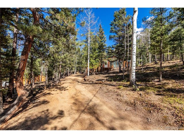 44 Anderson Rd, Florissant, CO 80816