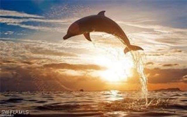 26275 Lot 36 Hickory BLVD, Bonita Springs, FL 34134