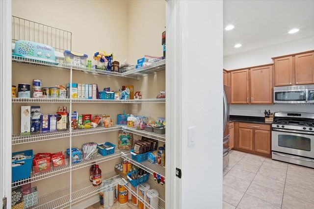 11310 WINTHROP LAKE DRIVE, Riverview, FL 33578