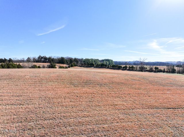 1255 Carpenters Chapel Road, Mosheim, TN 37818