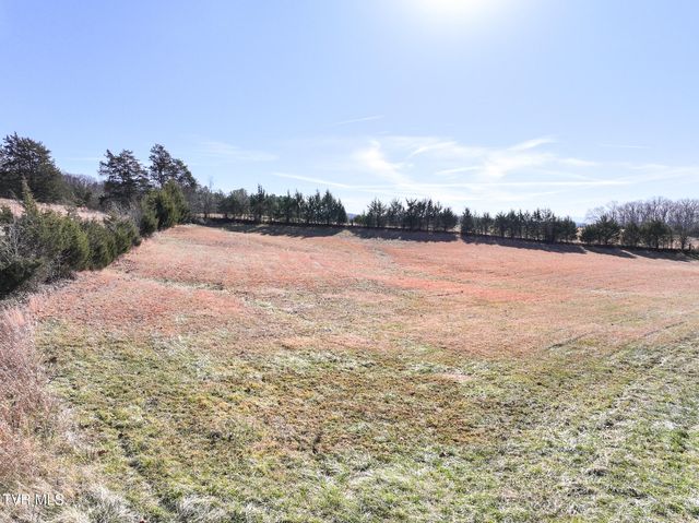 1255 Carpenters Chapel Road, Mosheim, TN 37818