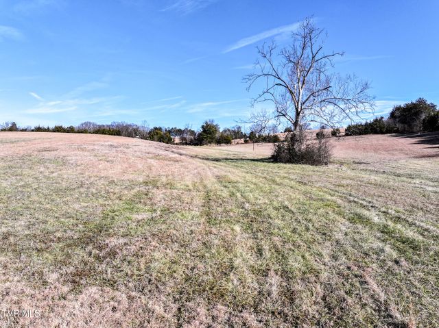 1255 Carpenters Chapel Road, Mosheim, TN 37818