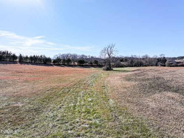 1255 Carpenters Chapel Road, Mosheim, TN 37818