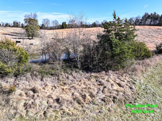 1255 Carpenters Chapel Road, Mosheim, TN 37818