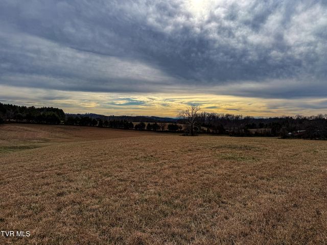 1255 Carpenters Chapel Road, Mosheim, TN 37818