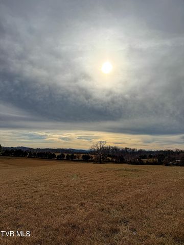 1255 Carpenters Chapel Road, Mosheim, TN 37818