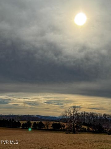 1255 Carpenters Chapel Road, Mosheim, TN 37818