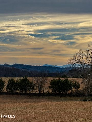 1255 Carpenters Chapel Road, Mosheim, TN 37818