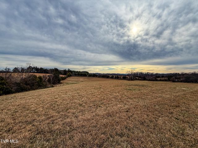 1255 Carpenters Chapel Road, Mosheim, TN 37818