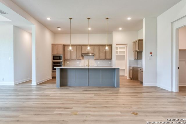 1121 Cape May Warbler, New Braunfels, TX 78132