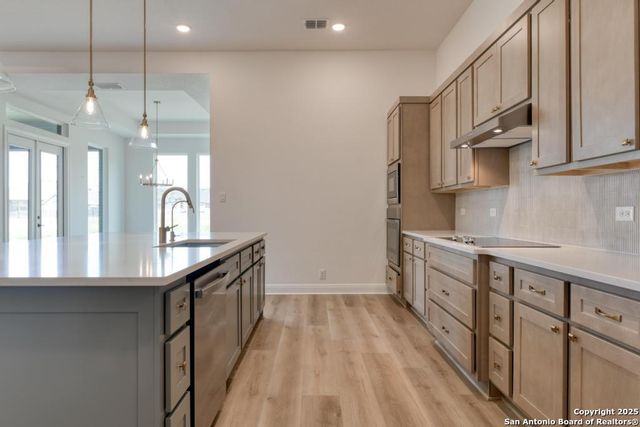1121 Cape May Warbler, New Braunfels, TX 78132