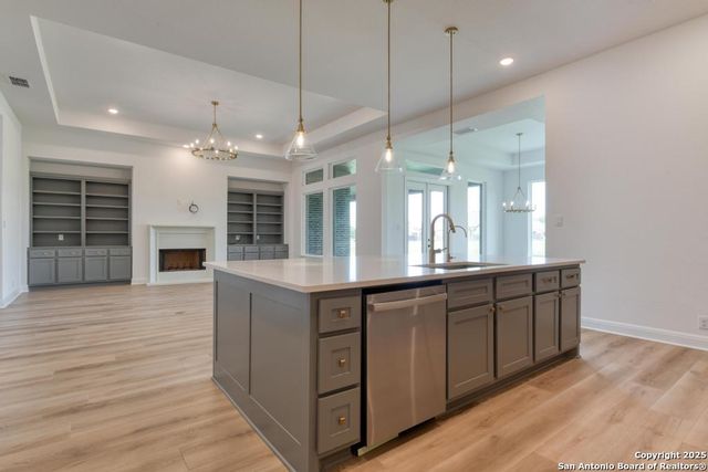 1121 Cape May Warbler, New Braunfels, TX 78132
