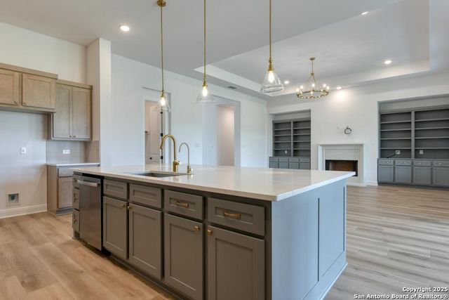 1121 Cape May Warbler, New Braunfels, TX 78132