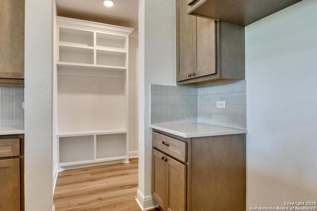 1121 Cape May Warbler, New Braunfels, TX 78132