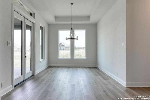 1121 Cape May Warbler, New Braunfels, TX 78132