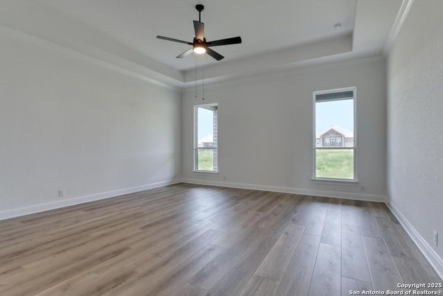 1121 Cape May Warbler, New Braunfels, TX 78132