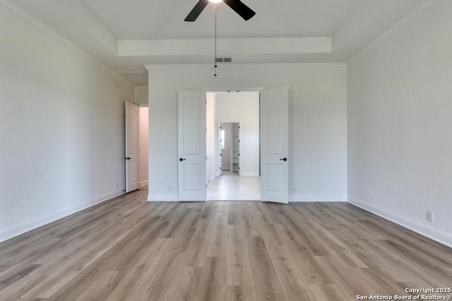 1121 Cape May Warbler, New Braunfels, TX 78132