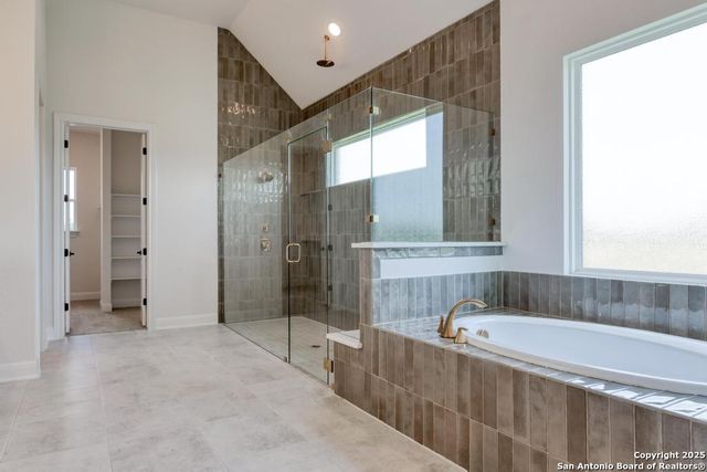 1121 Cape May Warbler, New Braunfels, TX 78132
