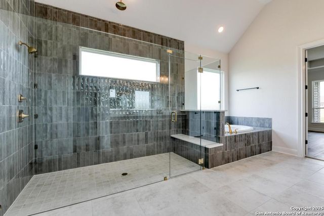 1121 Cape May Warbler, New Braunfels, TX 78132