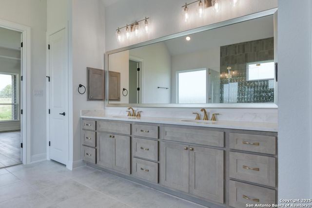 1121 Cape May Warbler, New Braunfels, TX 78132