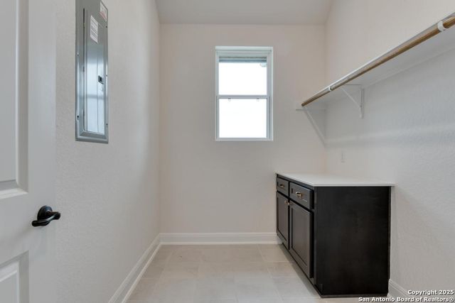 1121 Cape May Warbler, New Braunfels, TX 78132