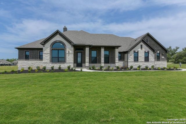 1121 Cape May Warbler, New Braunfels, TX 78132