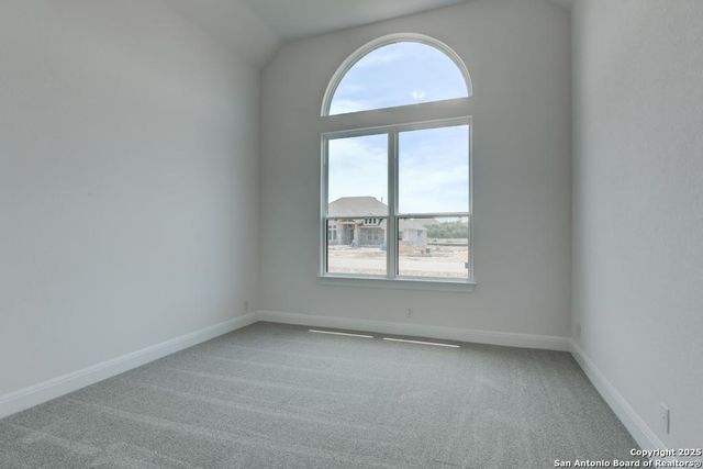 1121 Cape May Warbler, New Braunfels, TX 78132