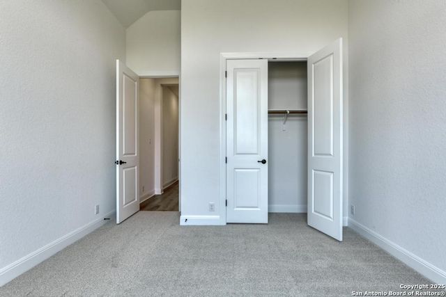 1121 Cape May Warbler, New Braunfels, TX 78132