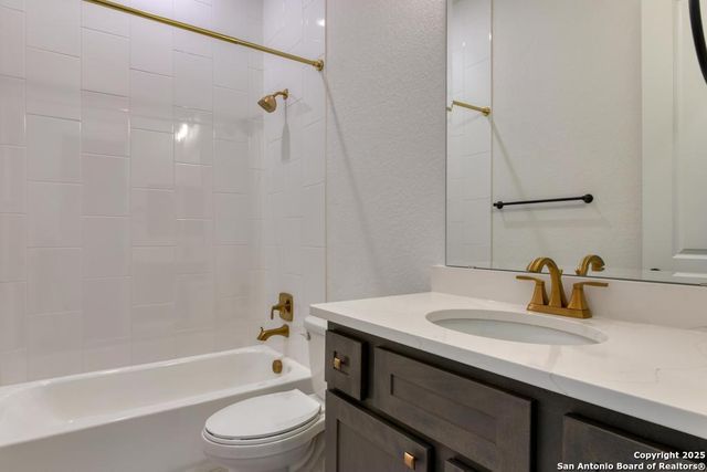 1121 Cape May Warbler, New Braunfels, TX 78132