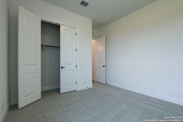 1121 Cape May Warbler, New Braunfels, TX 78132