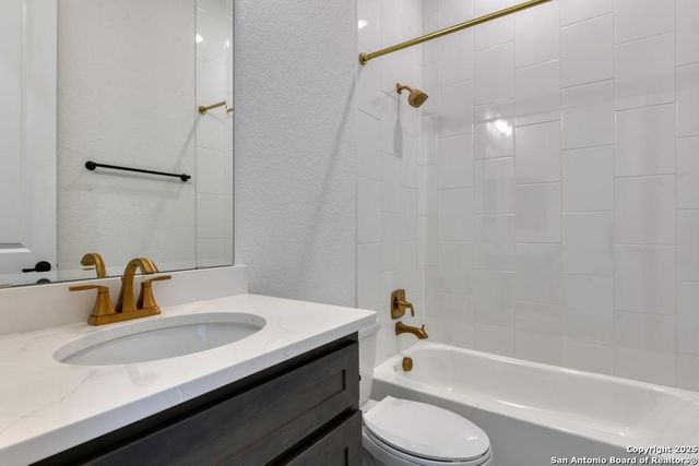 1121 Cape May Warbler, New Braunfels, TX 78132