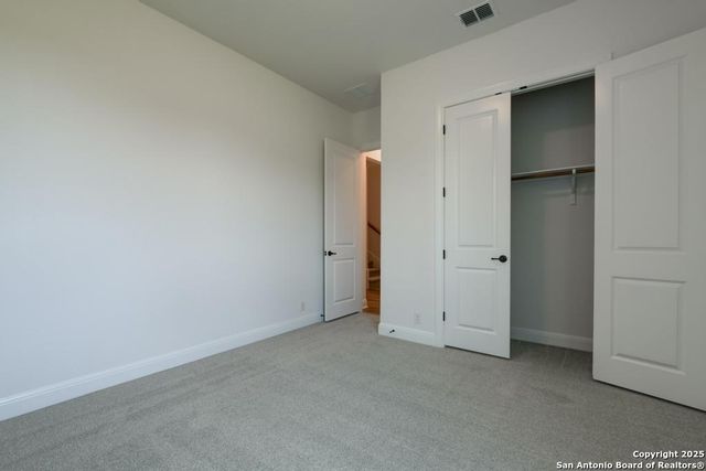 1121 Cape May Warbler, New Braunfels, TX 78132