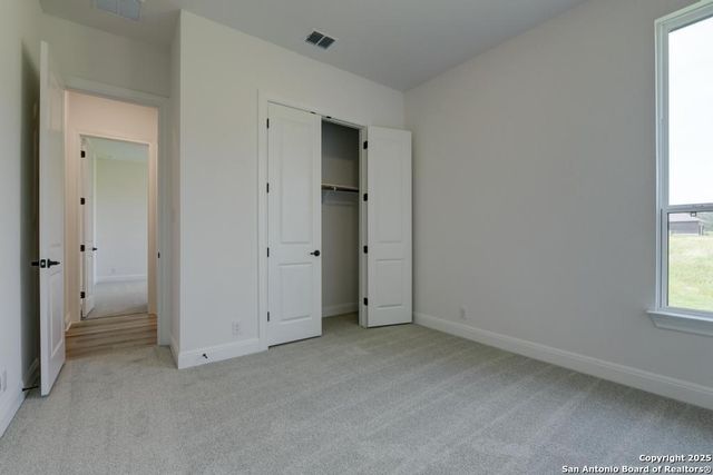 1121 Cape May Warbler, New Braunfels, TX 78132