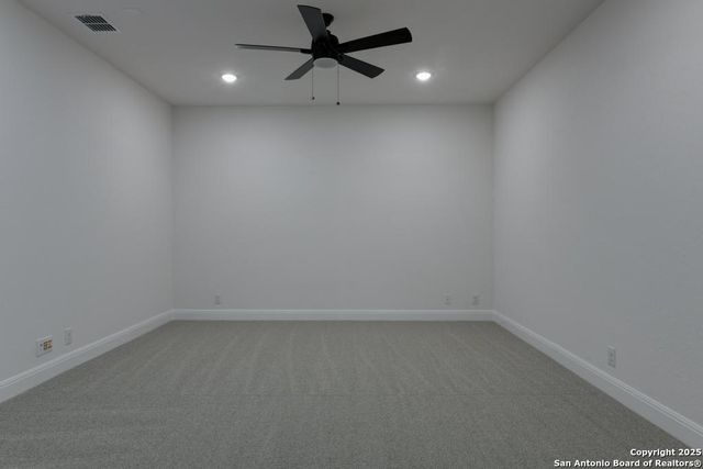 1121 Cape May Warbler, New Braunfels, TX 78132