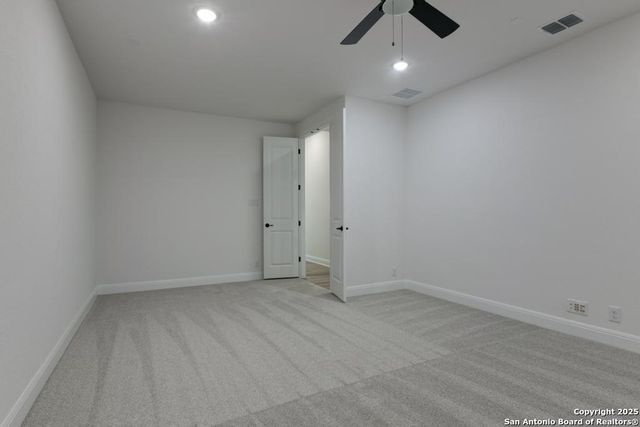 1121 Cape May Warbler, New Braunfels, TX 78132