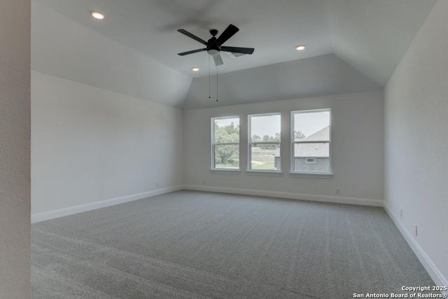 1121 Cape May Warbler, New Braunfels, TX 78132