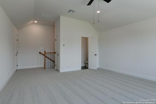 1121 Cape May Warbler, New Braunfels, TX 78132