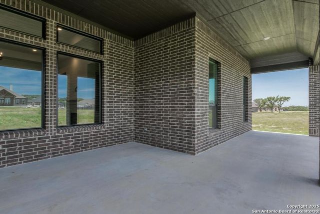 1121 Cape May Warbler, New Braunfels, TX 78132