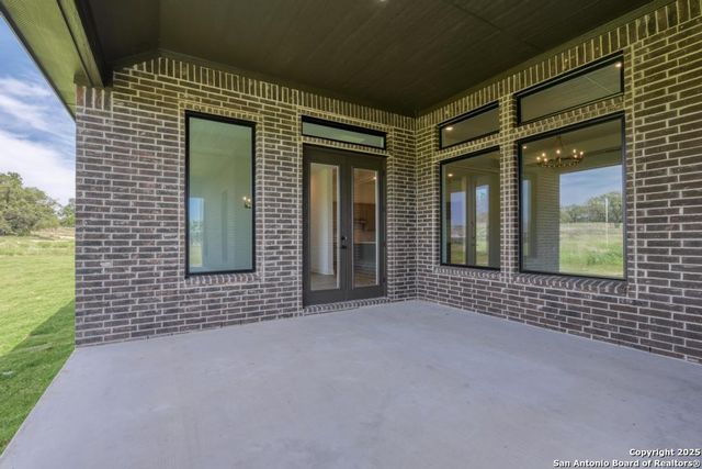 1121 Cape May Warbler, New Braunfels, TX 78132