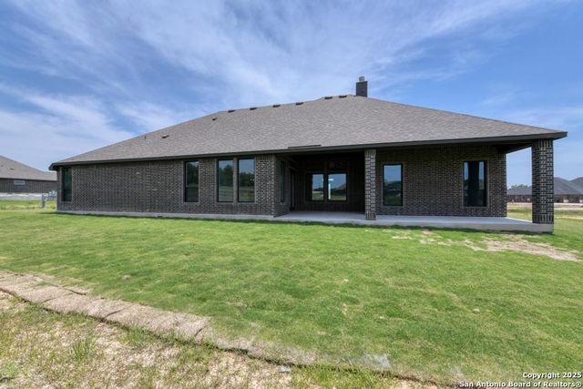 1121 Cape May Warbler, New Braunfels, TX 78132